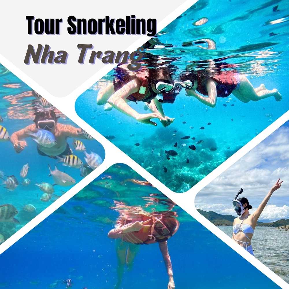 Tour snorkeling Hòn Mun